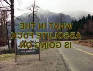 10155448
