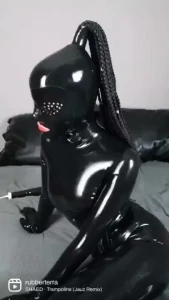 18174731