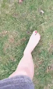 16115992