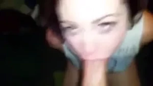 18173631