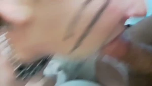 18173635