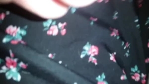 18173642