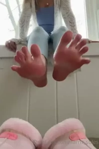 18172823