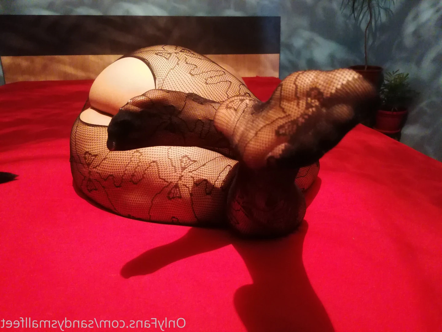 Mica Sandy [ sandysmallfeet ] Onlyfans leaked photo 10106492 on Hotleaks.tv