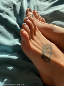 8409031