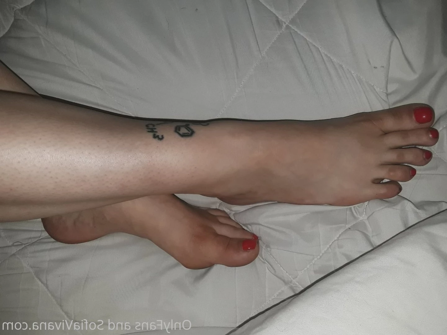Sofia Vivana [ seatownsofia ] Onlyfans leaked photo 8173328 on Hotleaks.tv