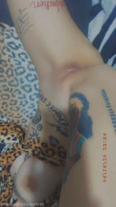 8164482