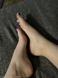 15703803