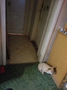 8328847