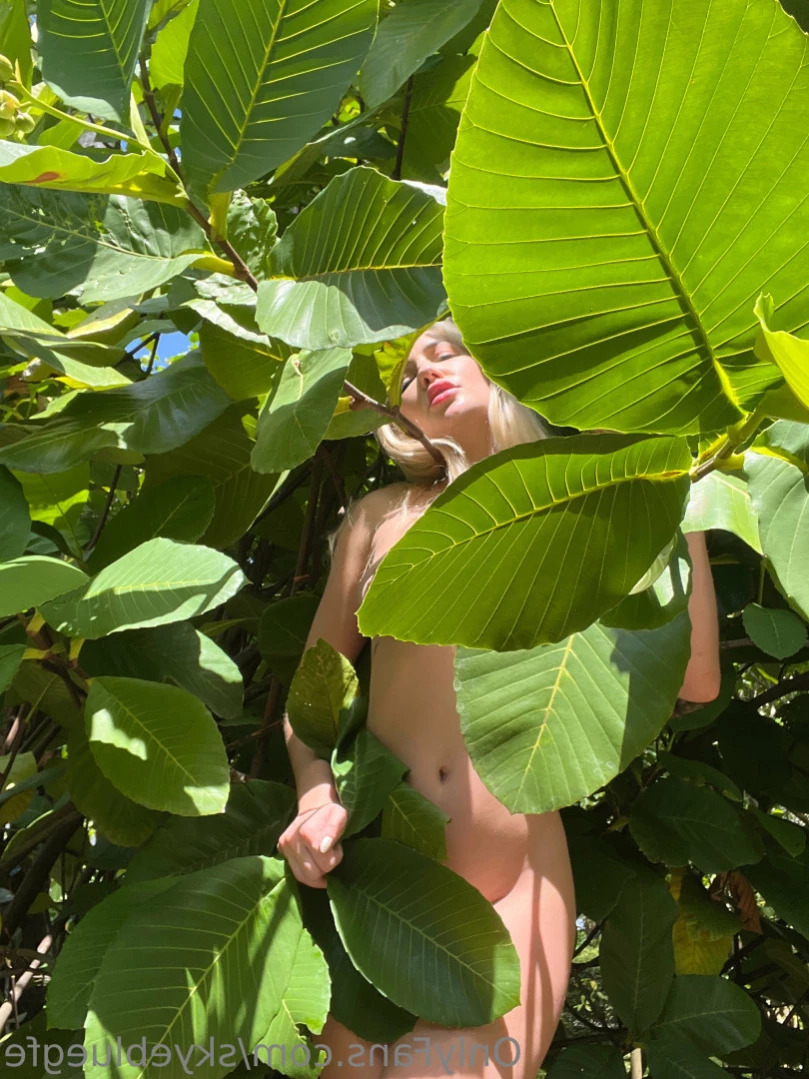 Skye Blue NO PPV [ skyebluegfe ] Onlyfans leaked photo 15493129 on Hotleaks.tv