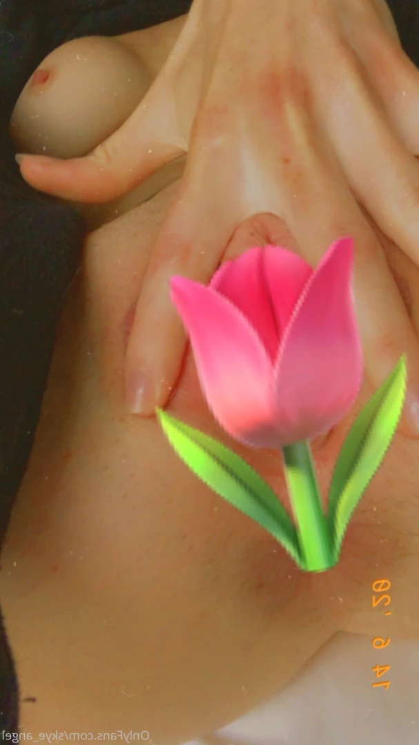 Skyler Grey [ skyler_angel ] Onlyfans leaked photo 10963360 on Hotleaks.tv