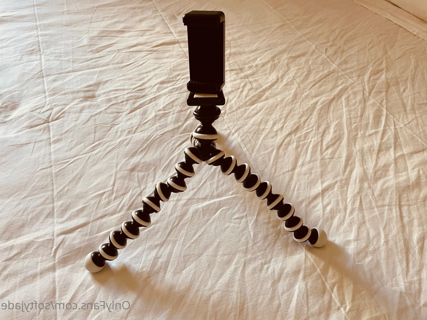 💚S͜͡o͜͡f͜͡t͜͡y͜͡J͜͡a͜͡d͜͡e͜͡💚 [ softyjade ] Onlyfans leaked photo 8321267 on Hotleaks.tv
