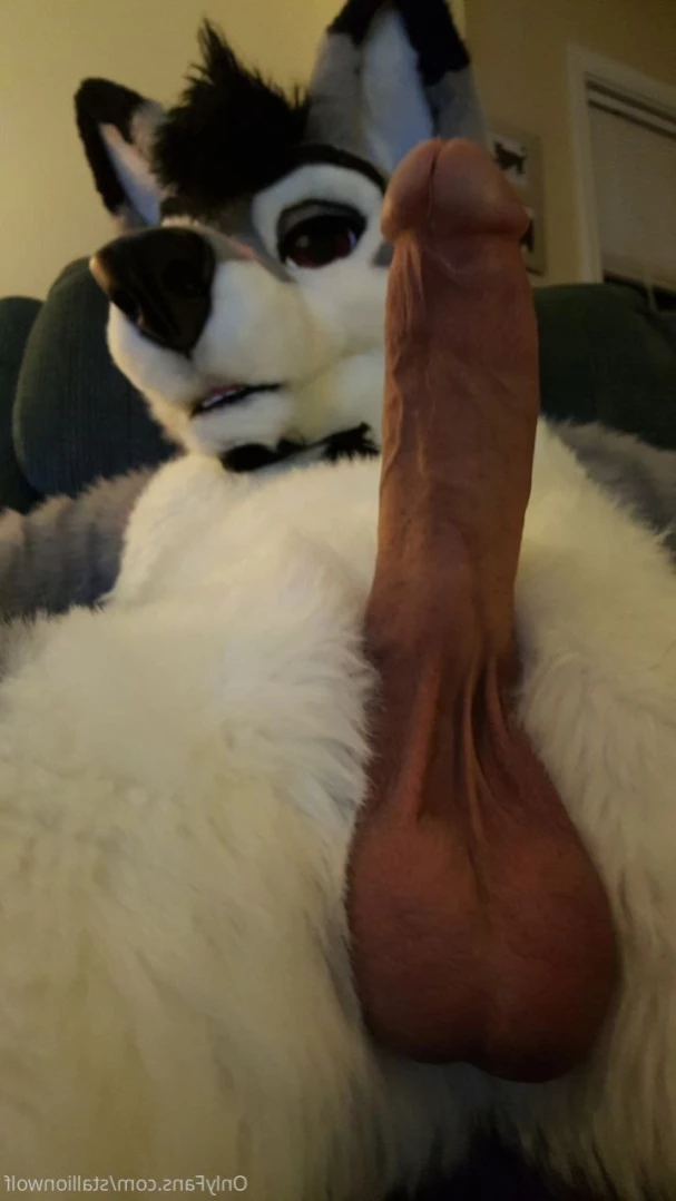 HavocStallion [ stallionwolf ] Onlyfans leaked photo 12081664 on Hotleaks.tv