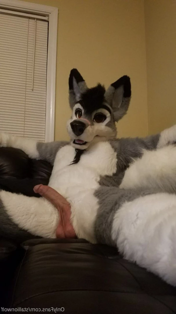 HavocStallion [ stallionwolf ] Onlyfans leaked photo 12139382 on Hotleaks.tv