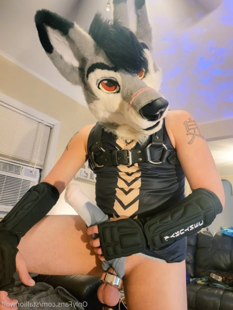 HavocStallion [ stallionwolf ] Onlyfans leaked photo 12682649 on Hotleaks.tv