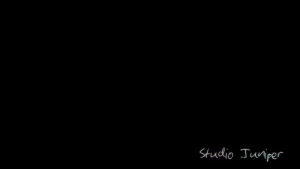 13301097