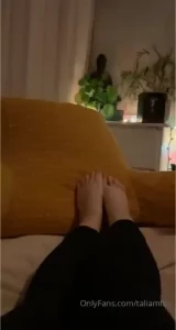 18608396