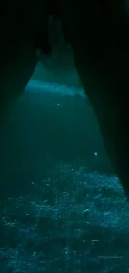 Talia Mint [ taliamint ] Onlyfans leaked video 9908864 on Hotleaks.tv