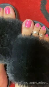 tanfeets Onlyfans leaked video 9905701 on Hotleaks.tv