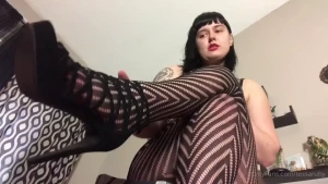 18166411