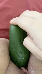 9891331