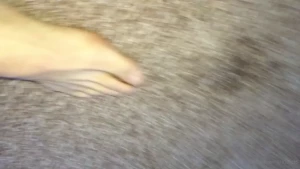 Tj [ the-entertainer ] Onlyfans leaked video 9889567 on Hotleaks.tv