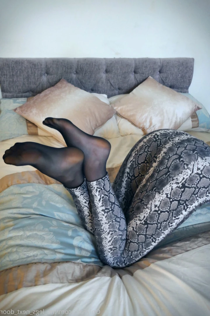 annabel_xo_ [ the_legs_next_door ] Onlyfans leaked photo 11481012 on Hotleaks.tv