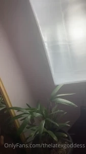 The Latex Goddess [ thelatexgoddess ] Onlyfans leaked video 9881056 on Hotleaks.tv