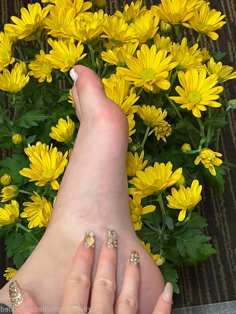 Ariel ~ Fetish Page [ tiedandtickled ] Onlyfans leaked photo 8043787 on Hotleaks.tv