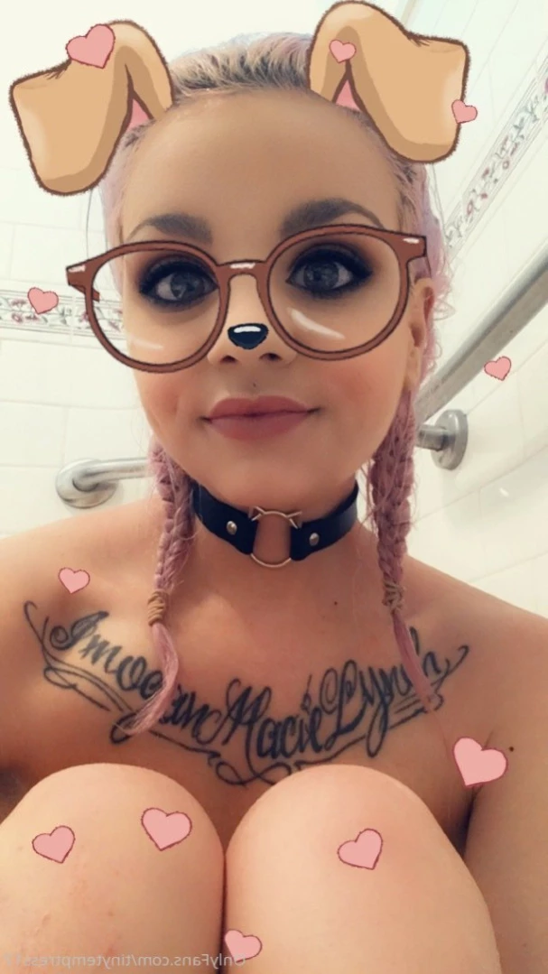 tinytemptress17 Onlyfans leaked photo 15816458 on Hotleaks.tv