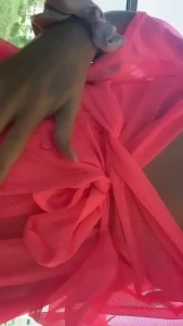 Goddess Torilee just for guys 😋 [ torilee ] Onlyfans leaked video 9859223 on Hotleaks.tv