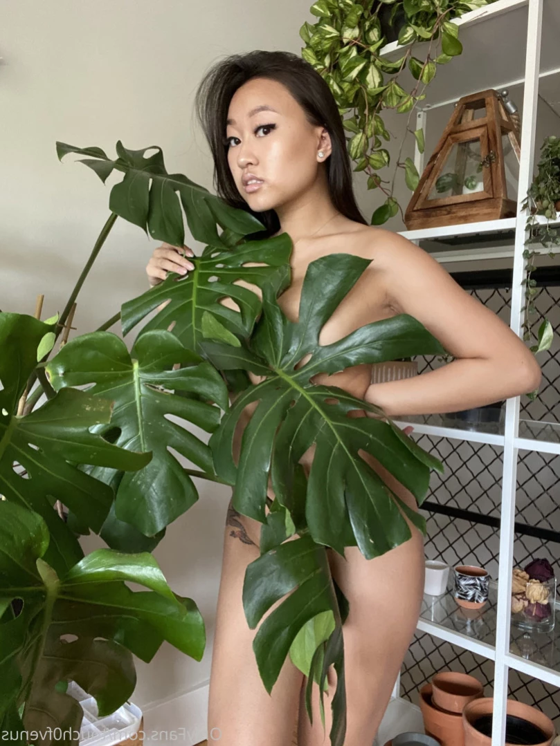 Venus 🌿 [ touch0fvenus ] Onlyfans leaked photo 16159588 on Hotleaks.tv