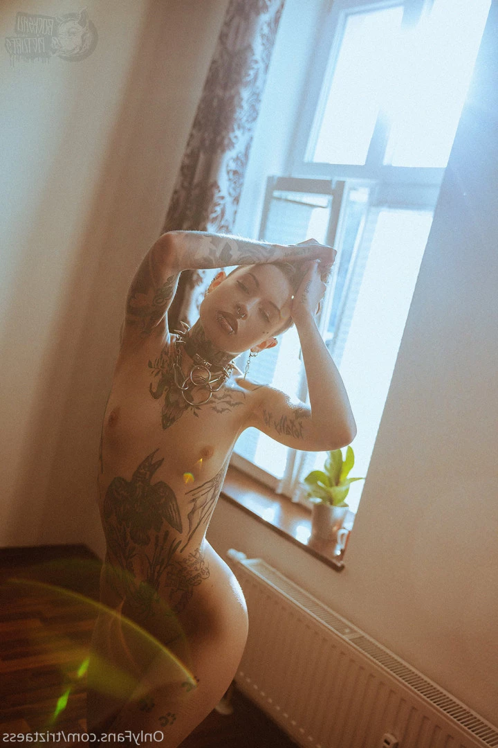 triztaess Onlyfans leaked photo 8145537 on Hotleaks.tv