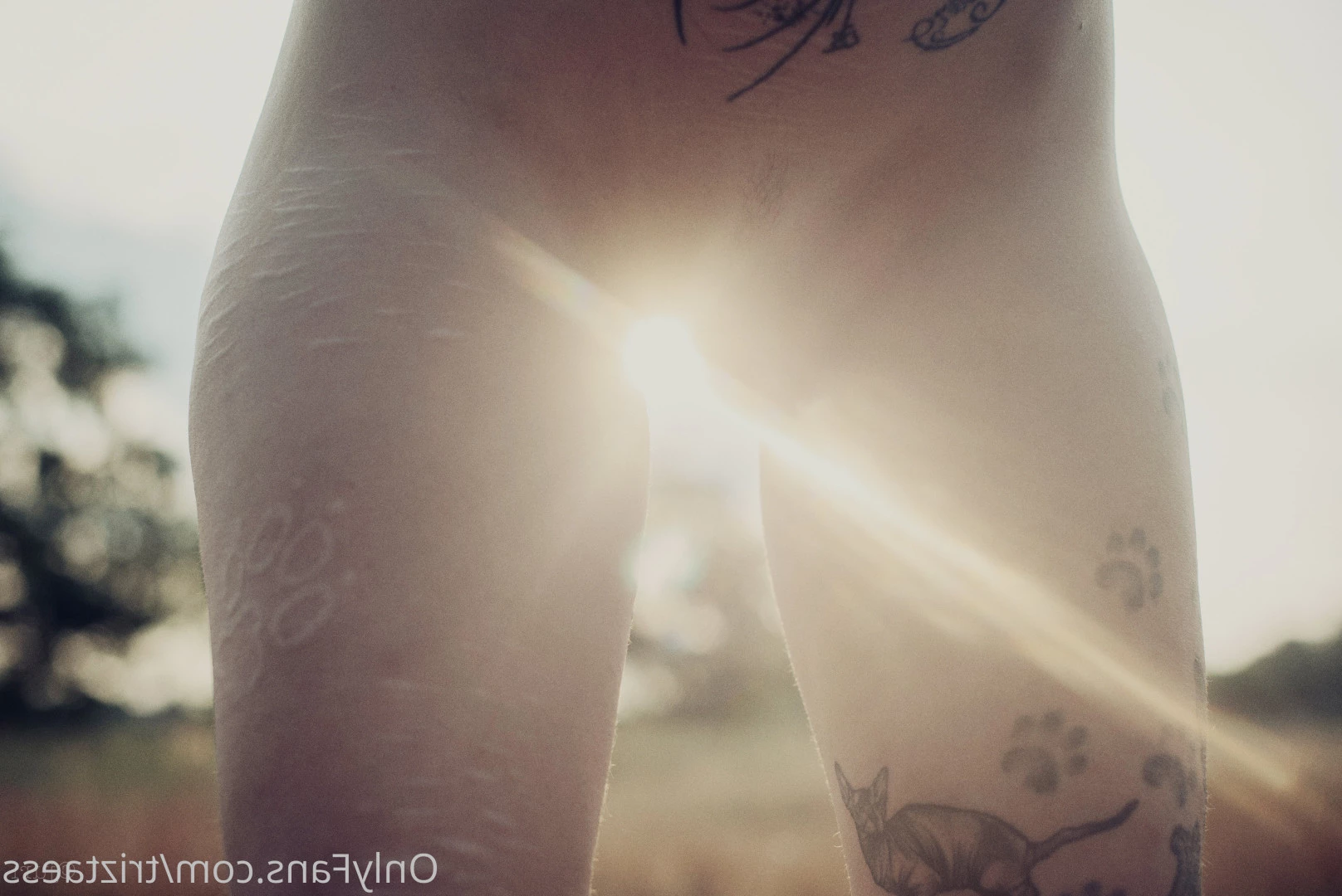 triztaess Onlyfans leaked photo 8146263 on Hotleaks.tv