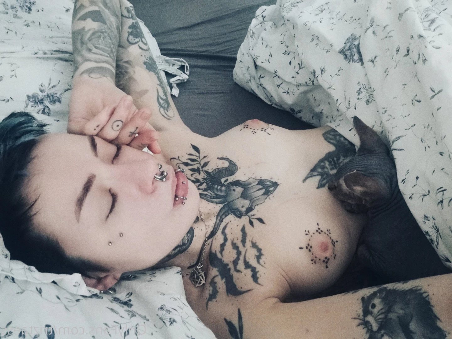 triztaess Onlyfans leaked photo 8146599 on Hotleaks.tv
