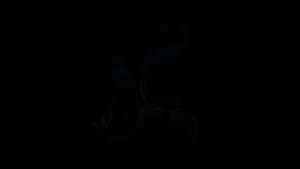 TwoPeacockProductions [ twopeacockprod ] Onlyfans leaked video 18163120 on Hotleaks.tv