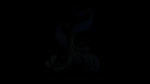 18163171