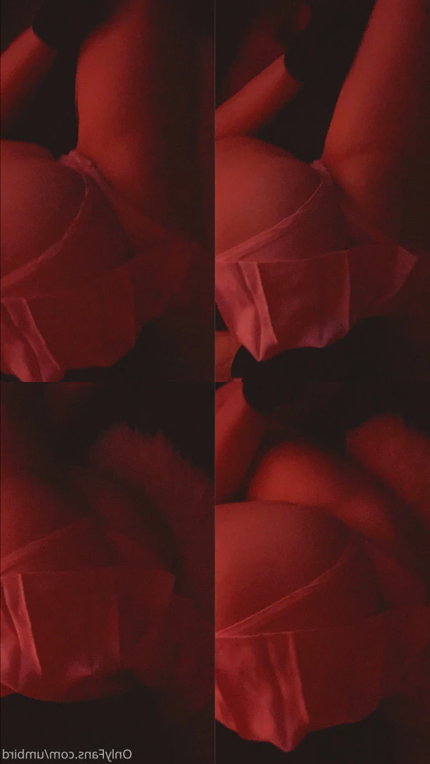 umbird Onlyfans leaked photo 8048089 on Hotleaks.tv