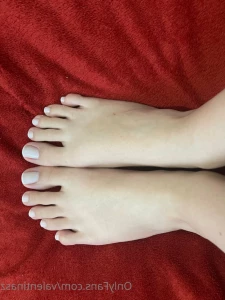 15335836