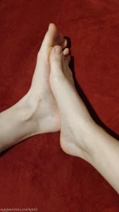 8096029