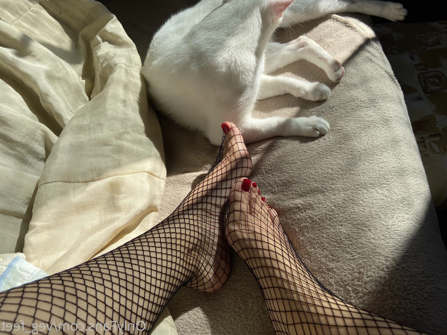 veg_feet Onlyfans leaked photo 10363691 on Hotleaks.tv