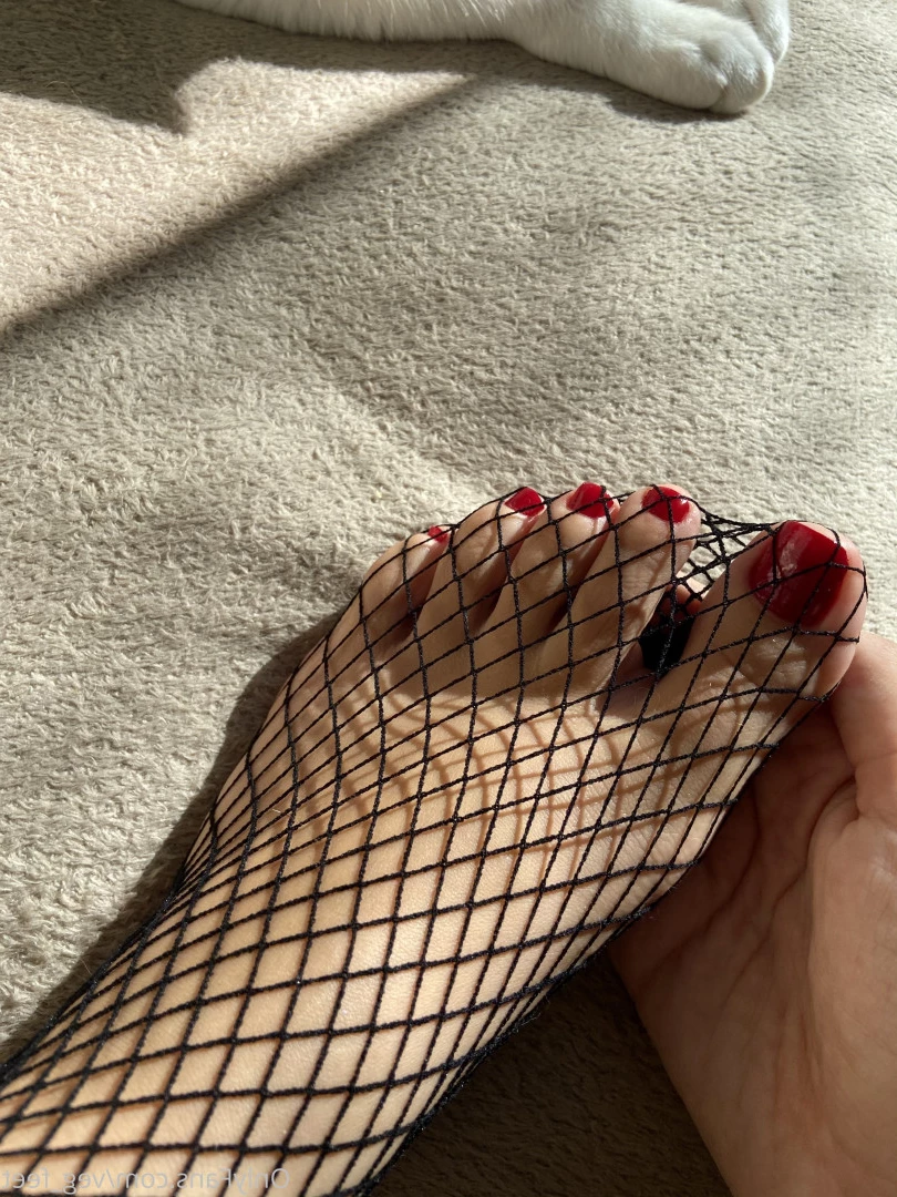 veg_feet Onlyfans leaked photo 10363925 on Hotleaks.tv