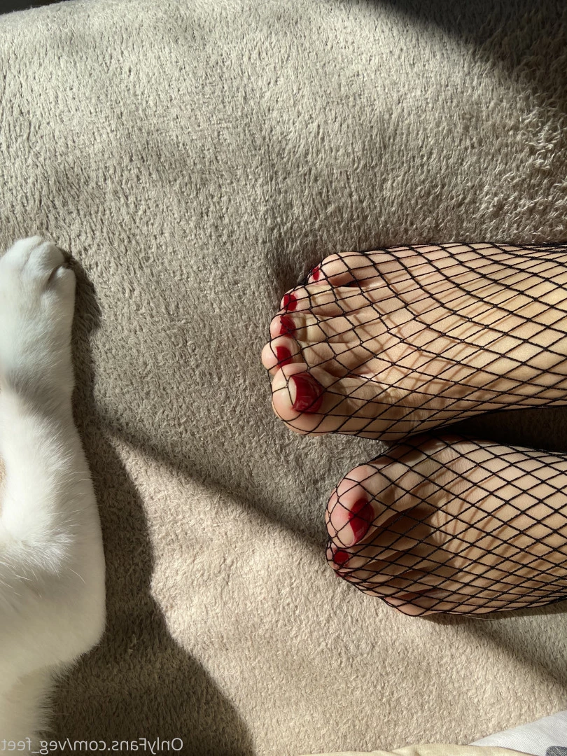 veg_feet Onlyfans leaked photo 10364224 on Hotleaks.tv