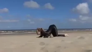 veronagymnast Onlyfans leaked video 9831035 on Hotleaks.tv