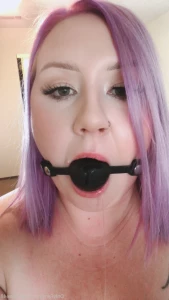 15817393
