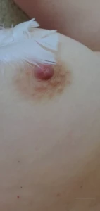 9828113