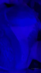 🦇VoodooViolet🦇 [ voodoovixen ] Onlyfans leaked video 9827107 on Hotleaks.tv