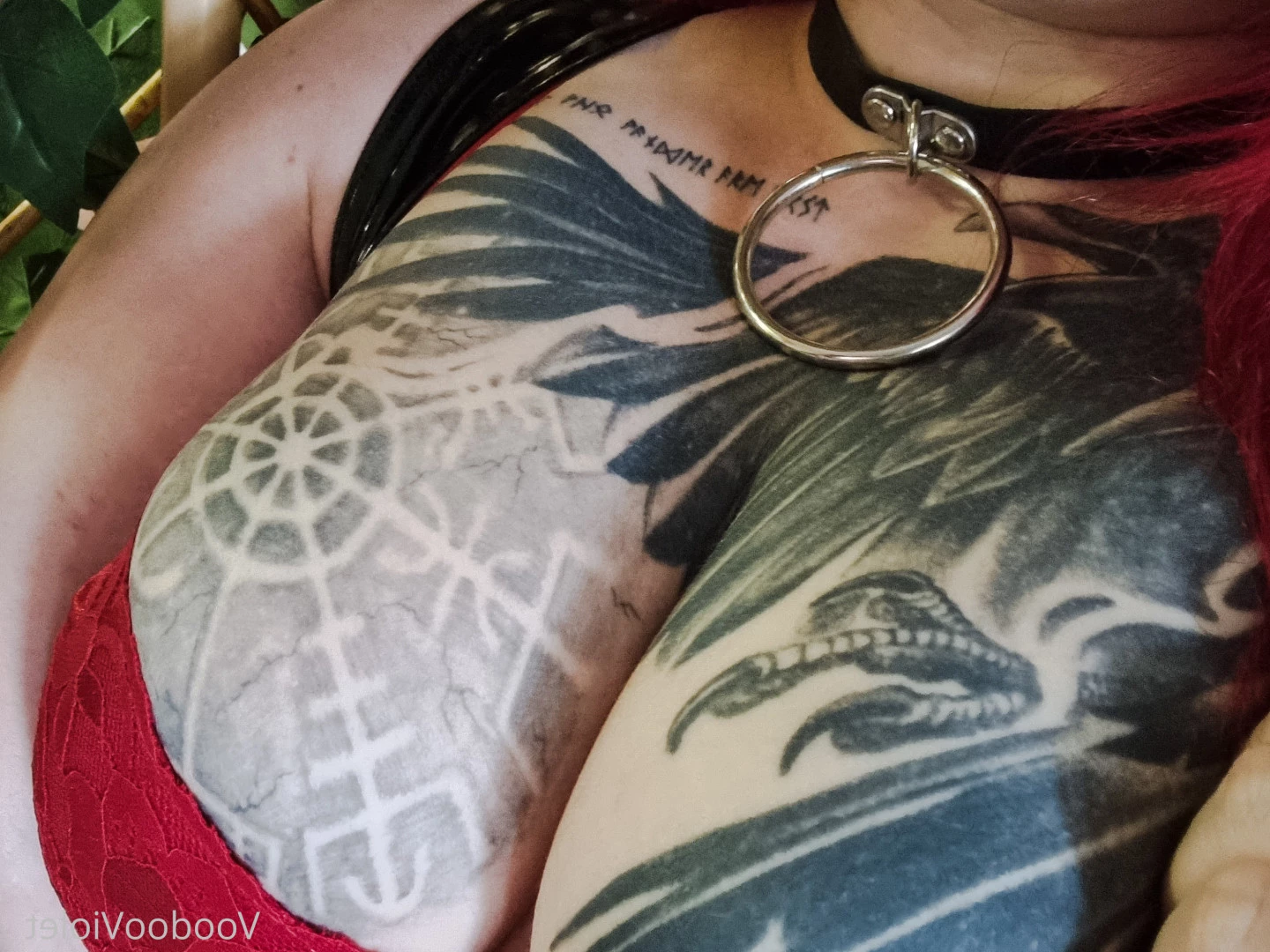 🦇VoodooViolet🦇 [ voodoovixen ] Onlyfans leaked photo 10017959 on Hotleaks.tv