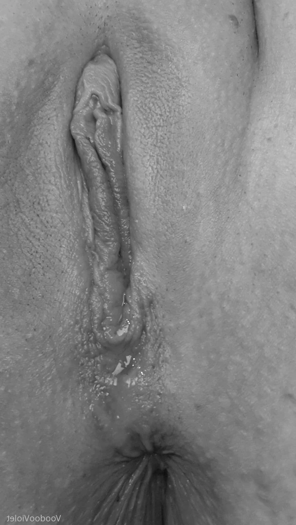 🦇VoodooViolet🦇 [ voodoovixen ] Onlyfans leaked photo 10106576 on Hotleaks.tv