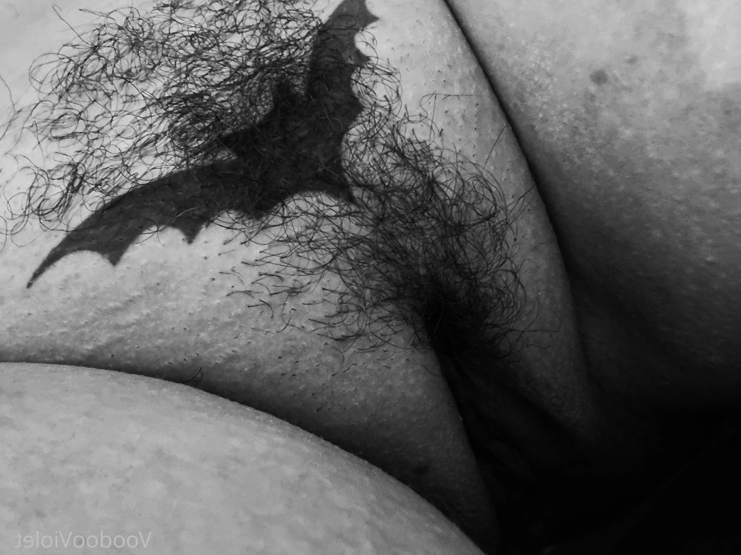 🦇VoodooViolet🦇 [ voodoovixen ] Onlyfans leaked photo 10116244 on Hotleaks.tv